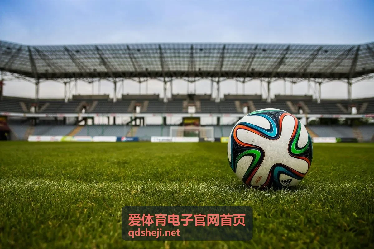 爱体育电子官网首页场馆电子系统场地扩声与语音播报模块