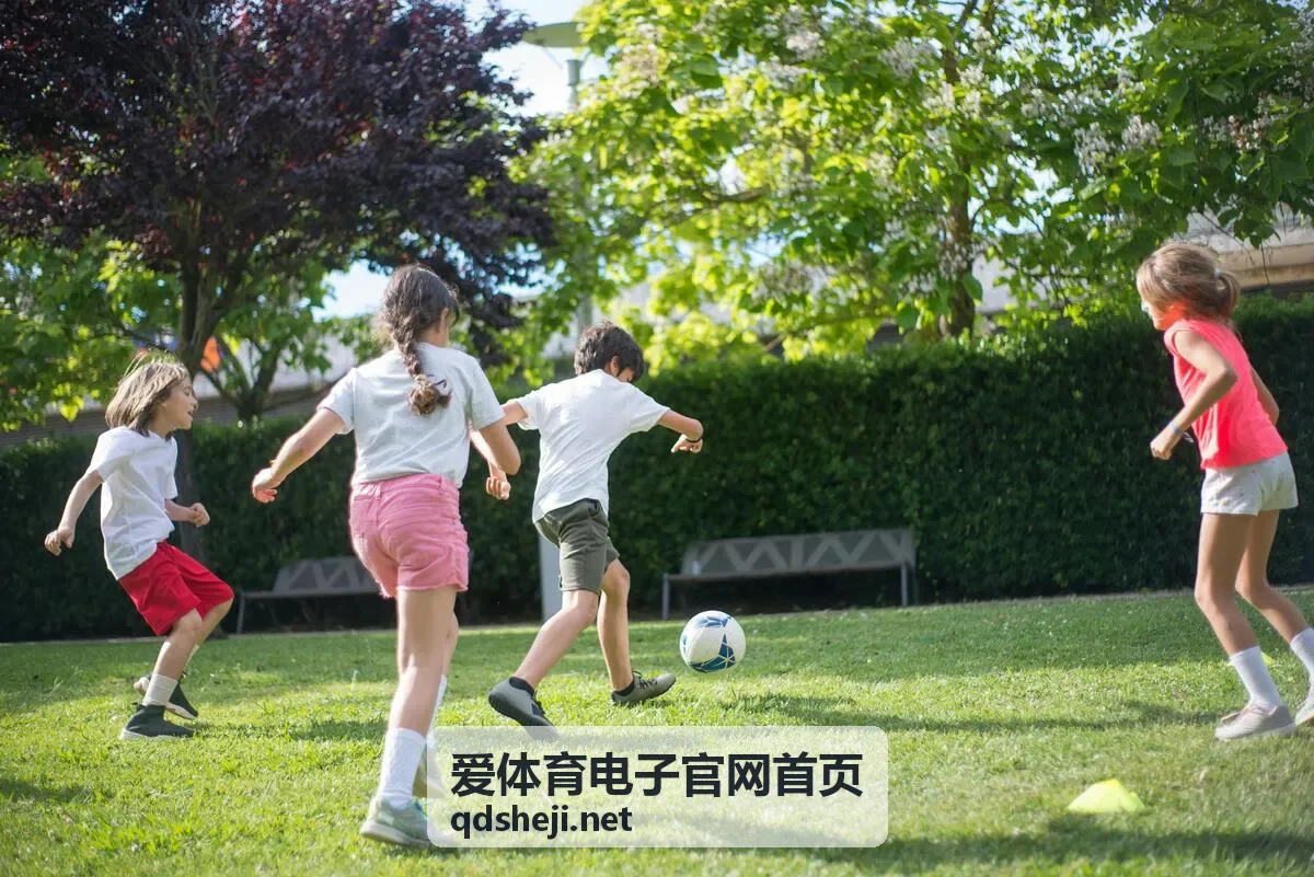 爱体育电子官网首页场馆电子系统在学校综合体育馆的应用