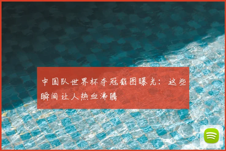 中国队世界杯夺冠截图曝光：这些瞬间让人热血沸腾