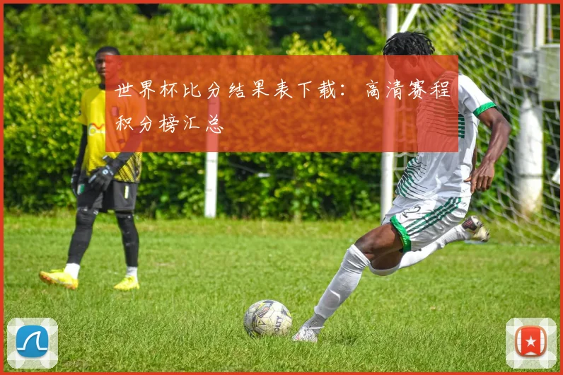 世界杯比分结果表下载：高清赛程积分榜汇总