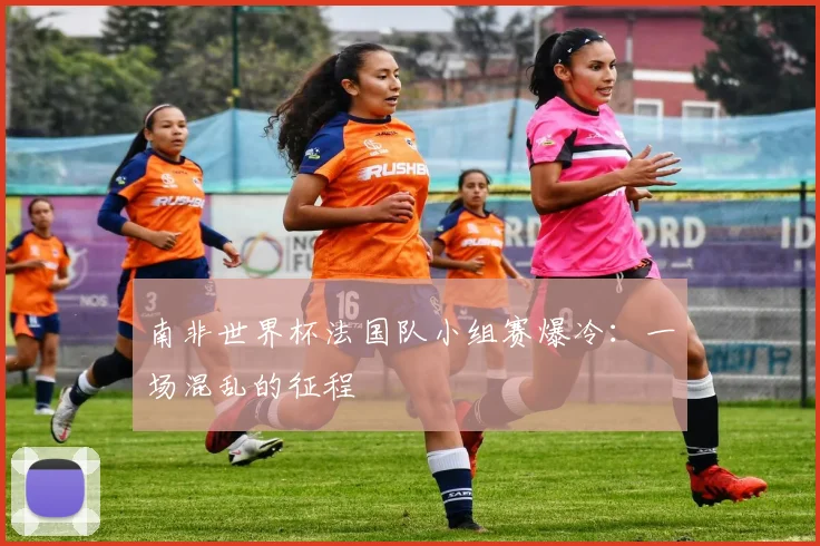 南非世界杯法国队小组赛爆冷：一场混乱的征程