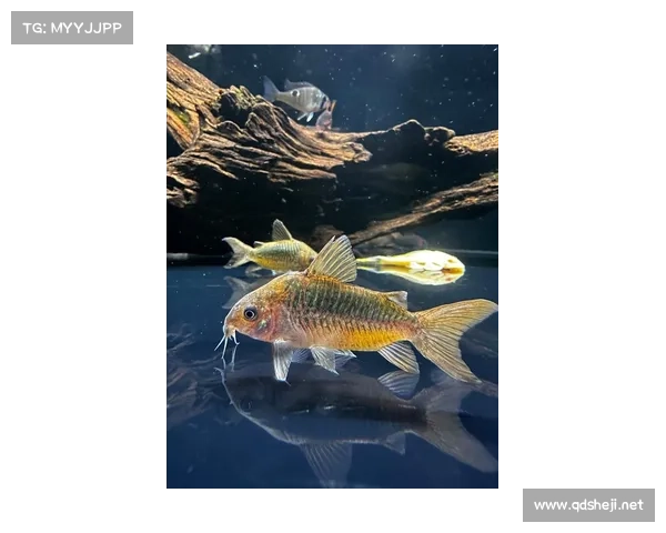 探索永歌森林的奥秘：一场穿越自然与野生奇观的深度之旅